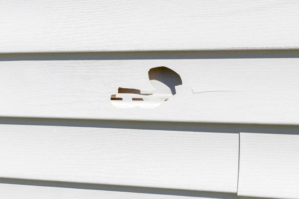 Best Insulated Siding Installation  in Mount Carroll, IL