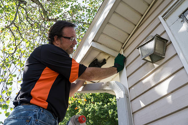 Best Fiber Cement Siding Installation  in Mount Carroll, IL